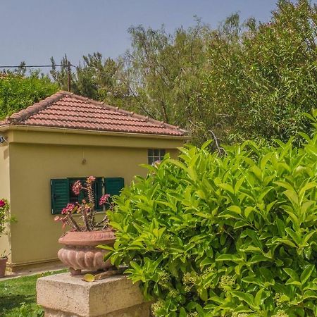Sylvia'S Guest House Kavrokhorion المظهر الخارجي الصورة